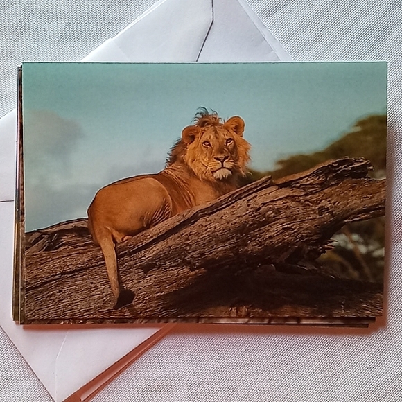 🅓🅞🅝🅐🅣🅔🅓! - Picture 2 of 7